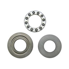 Bearing and Races - Fits Massey Ferguson - 1751676M1