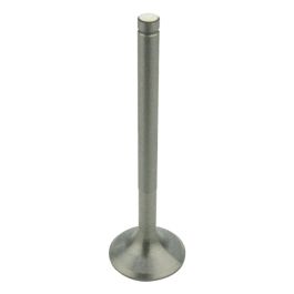 Exhaust Valve - Fits Case/IH - 3055056R2