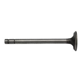 INTAKE VALVE - Fits CASE IH - 42024D