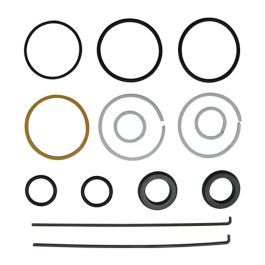 Steering Cylinder Seal Kit - Fits Case/IH - 55355C91