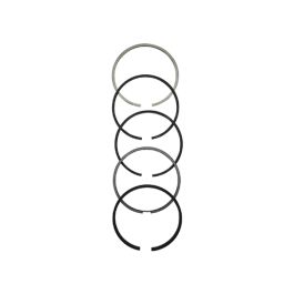 Ring Set, Individual - Fits Massey Ferguson - 745819M91