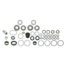 Sector Bearings and Seal Kit - Fits Massey Ferguson - MF03-V010